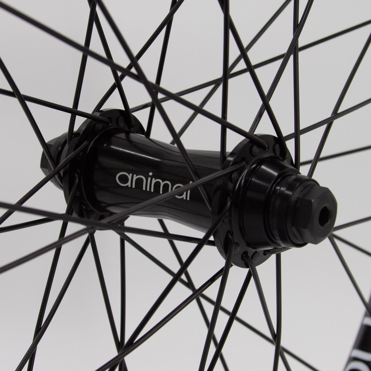 Animal Javelin Front Wheel FoundationBMX