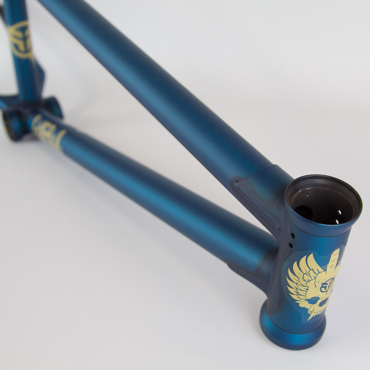Federal Perrin ICS Frame Anthony Perrin FoundationBMX