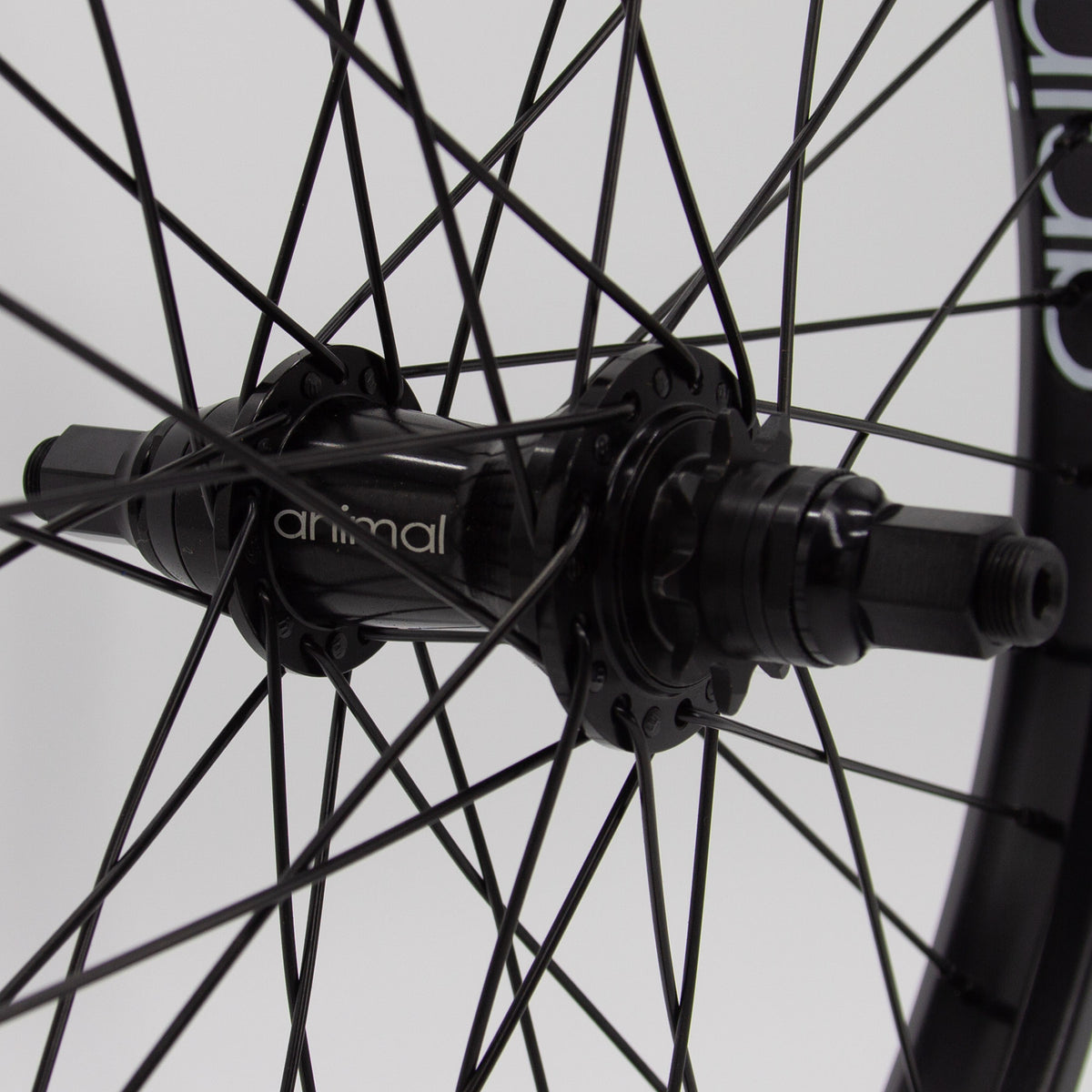 Animal Javelin Rear Cassette Wheel FoundationBMX